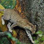 Best Camping Tours & Safaris Limited - photo 3