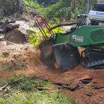 Gold Coast Stump Busters - photo 2