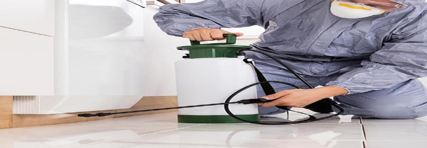 OZ Pest Control Hobart cover photo