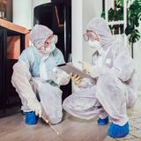 OZ Pest Control Hobart - Pest Control in Hobart