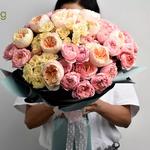 FNP Singapore - photo 2