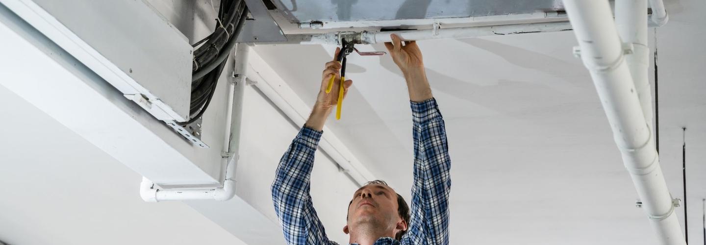 Sea Island Mold Removal Experts cover photo