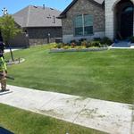 Mo-N-Grow Lawn Care - photo 2