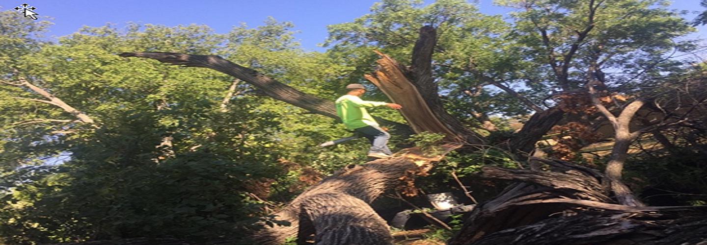 Mo-N-Grow Lawn Care cover photo