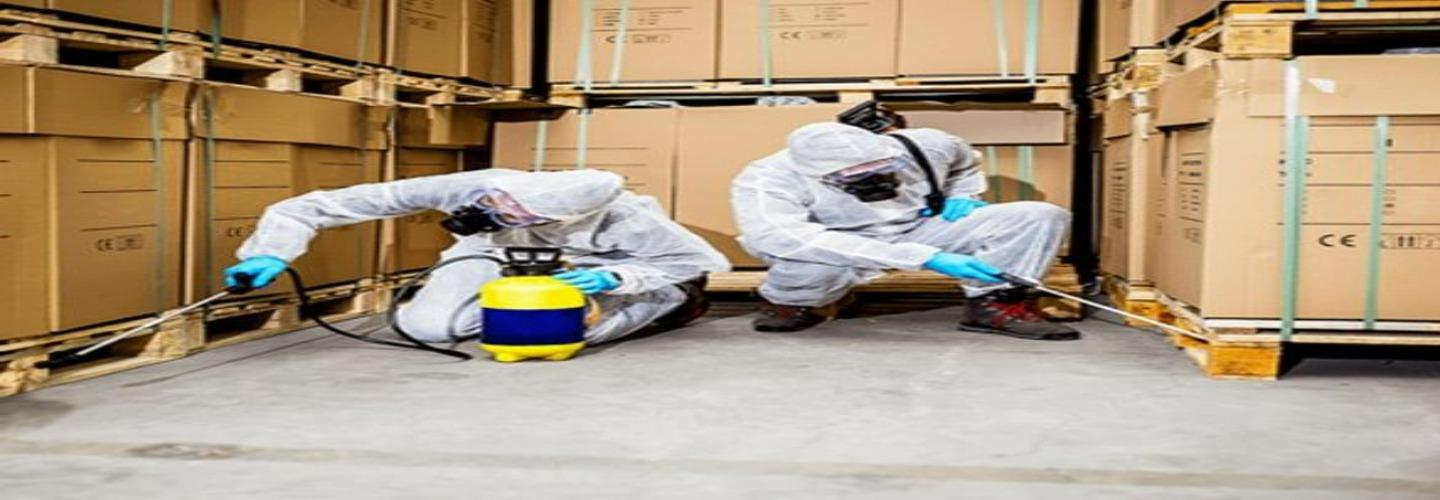 711 Pest Control Brisbane Southside cover photo