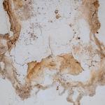 Water Damage Experts of Dirt City - photo 6