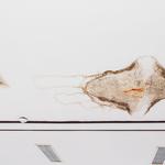 Water Damage Experts of Dirt City - photo 9