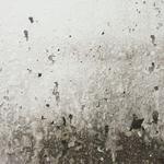 New Beige Water Damage Experts - photo 7