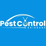 Silverfish Control Brisbane - Pest Control in Brisbane