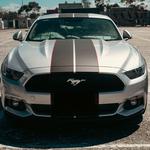 Universal Signs - photo 4