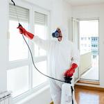 Eco Pest Control Gold Coast - photo 1