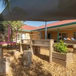 Busy Bees at Gilles Plains - photo 1