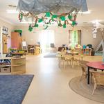 Busy Bees at Gilles Plains - photo 2