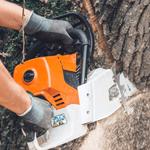 Queen Of The Missions Tree Co - photo 9