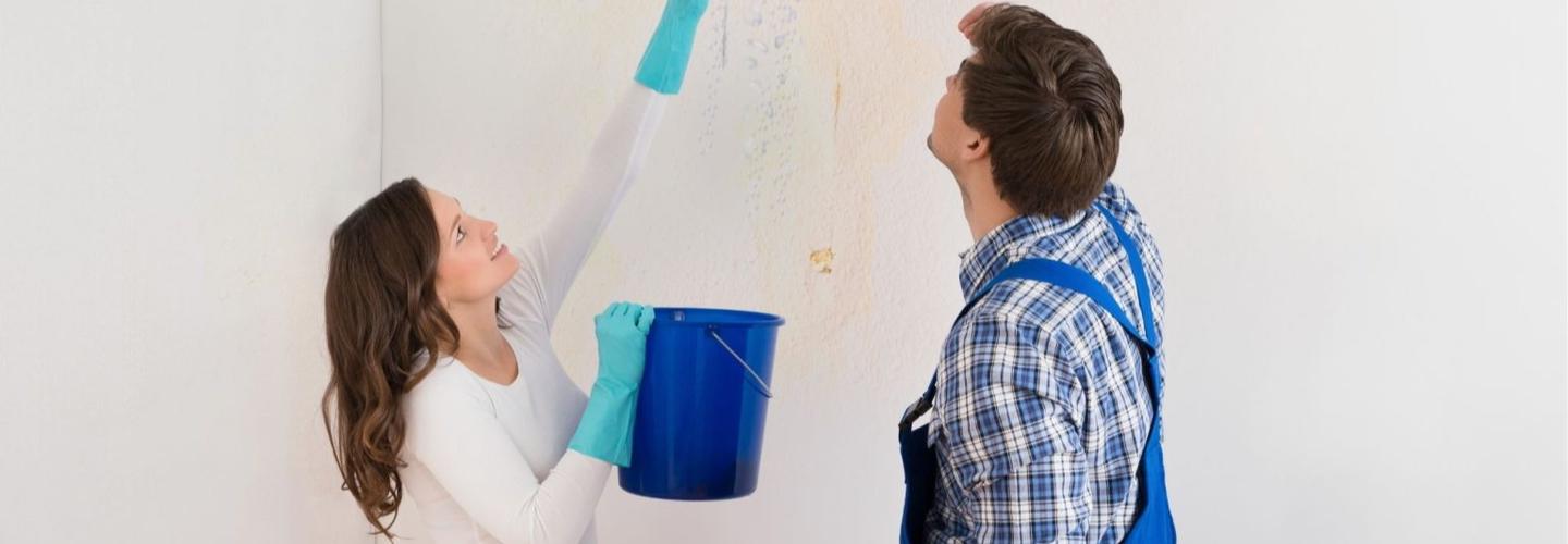 Rose Capital Water Damage Co cover photo