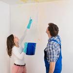 Rose Capital Water Damage Co - photo 2