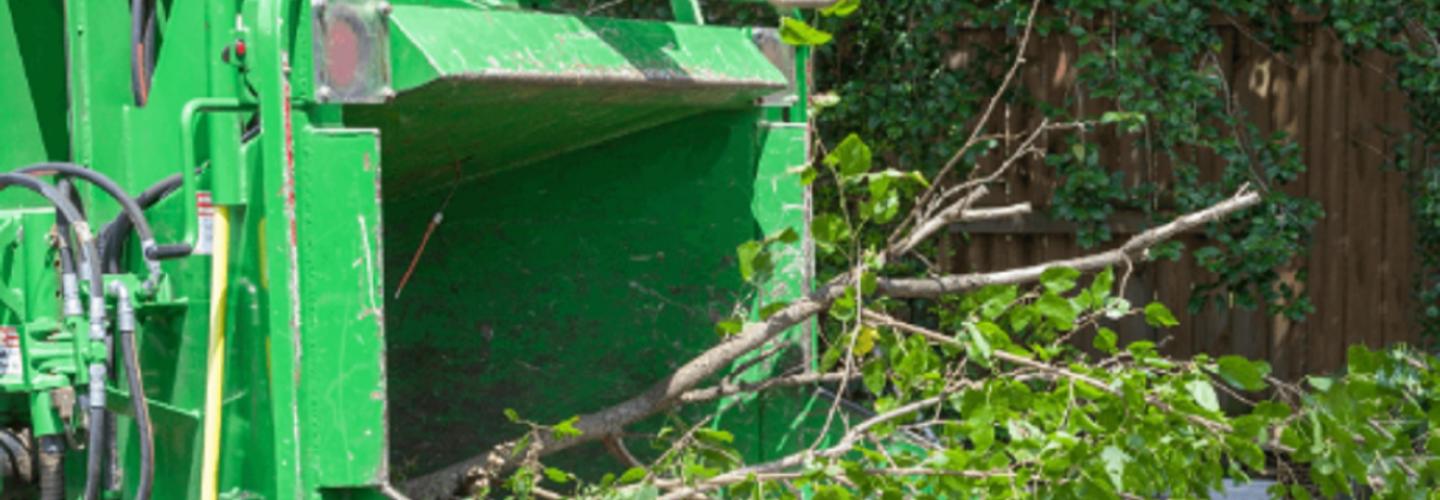 Bruggerhoff Tree Services cover photo