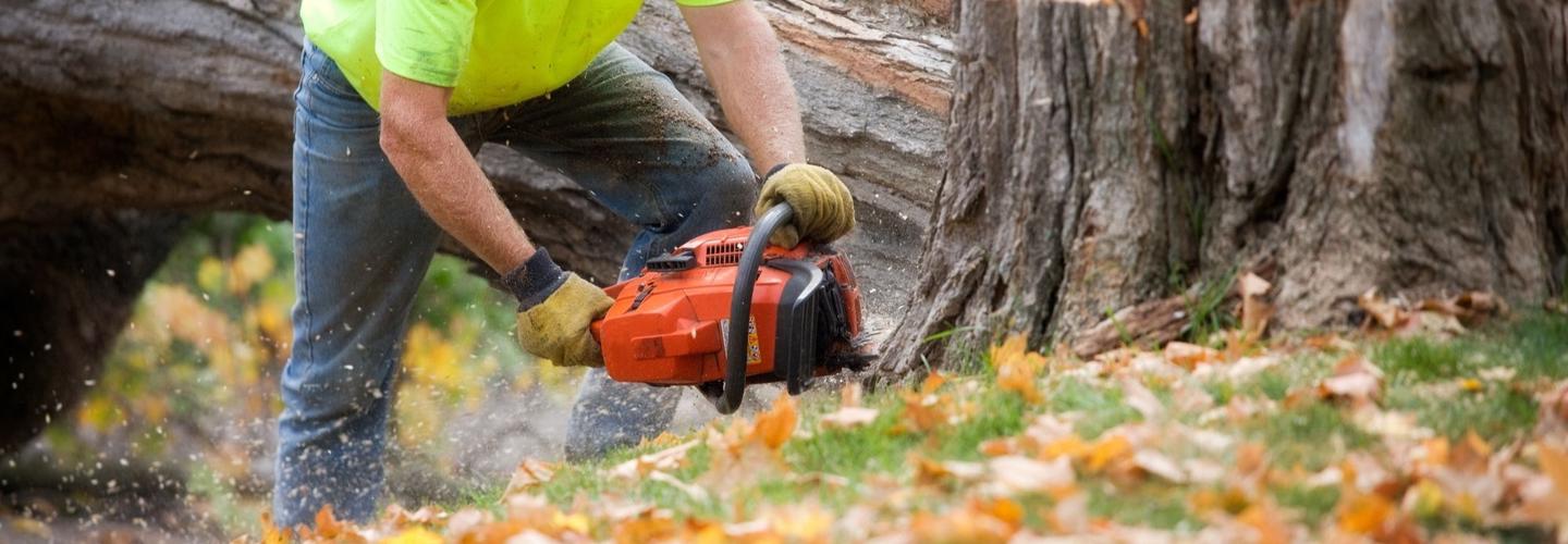 Hat City Tree Service cover photo