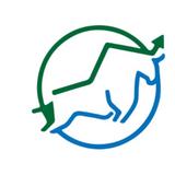 No Loss Trades Limited