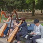 Jay Sonata Photography - photo 5