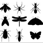 AM Pest Control - photo 1