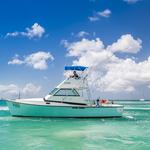 Fishing Yacht Aruba - photo 5