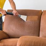CBD Upholstery Cleaning Bondi - photo 7