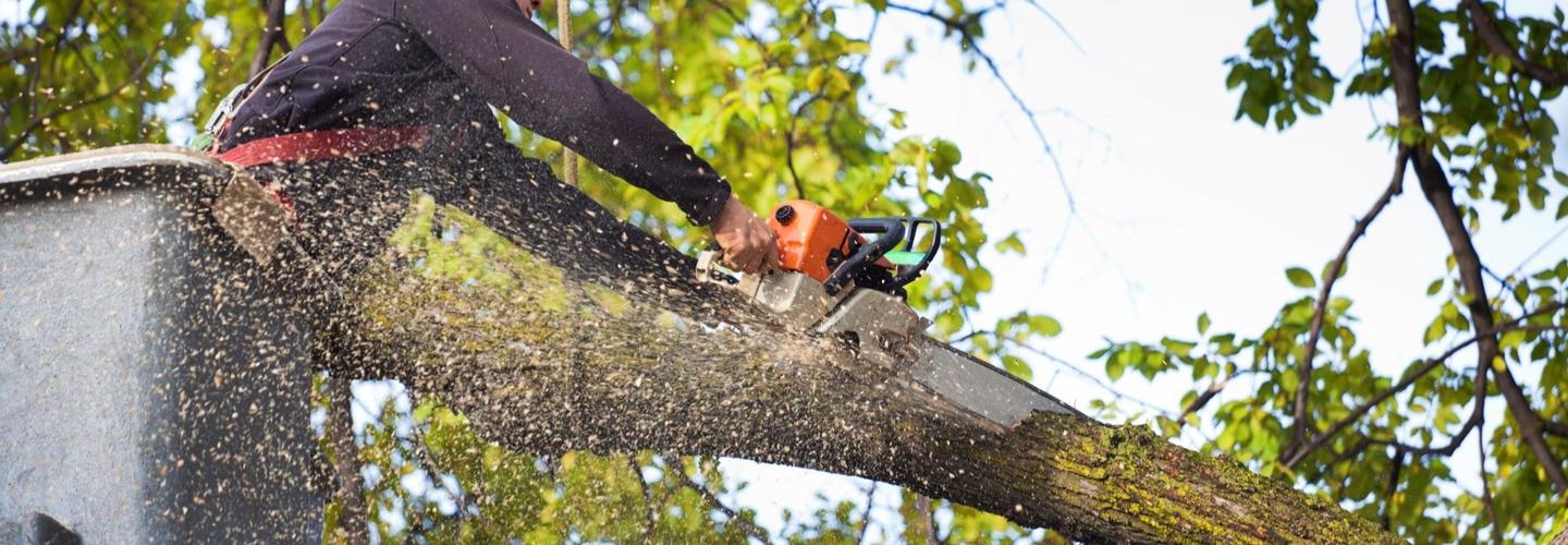 The Gathering Place Tree Service cover photo