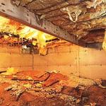 Elizabeth City Foundation Repair - photo 4