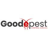 Goode Wasp Removal Sydney
