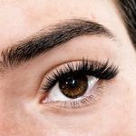 Miami Volume - photo 1