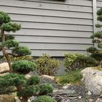 Shizen Garten - photo 1