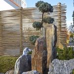Shizen Garten - photo 4