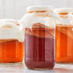 kombucha keywest - photo 1