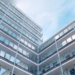 Town & City Management - photo 1