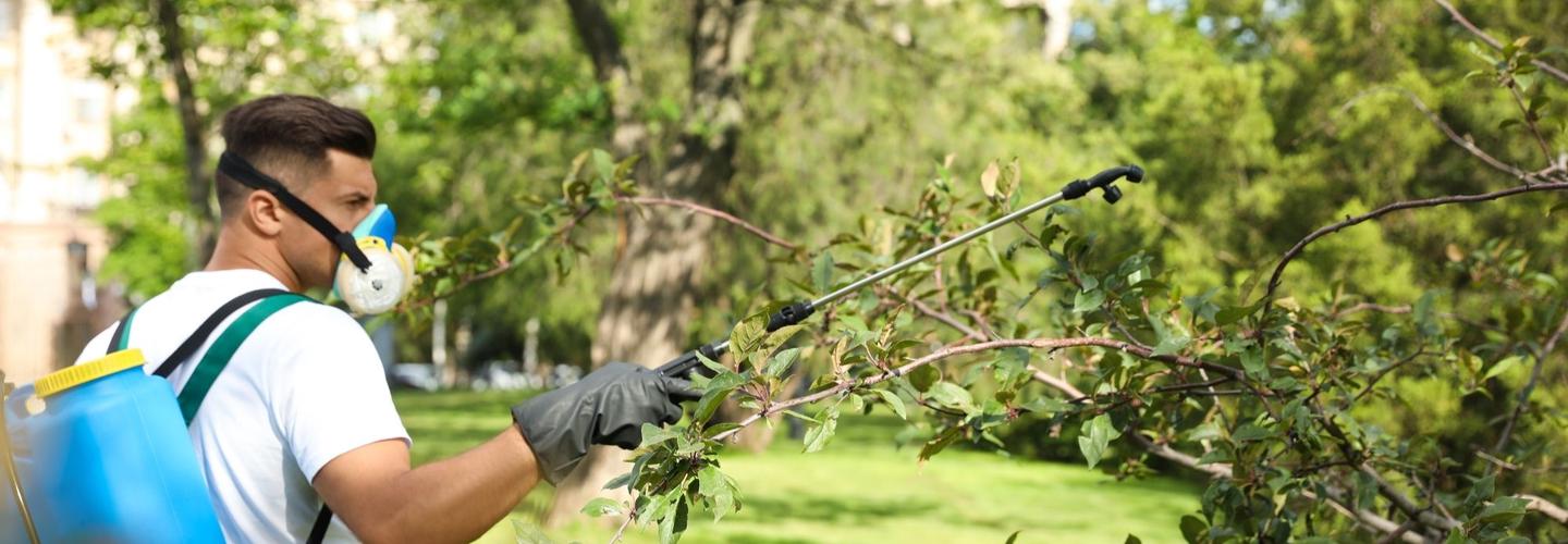 Harbor City Tree Removal Solutions cover photo
