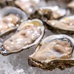 Aristos Seafood Trading - photo 10