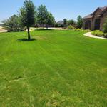 Mylawnguyz - photo 5