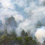 USA Smoke Damage Experts - photo 1