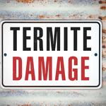 Awesome Alpharetta Termite Removal Experts - photo 5