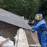 Naptown Wildlife Control Solutions - photo 2