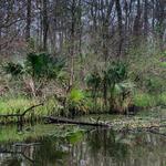 Naptown Wildlife Control Solutions - photo 4