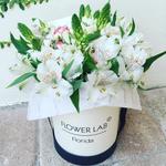 Flower Lab USA - photo 2