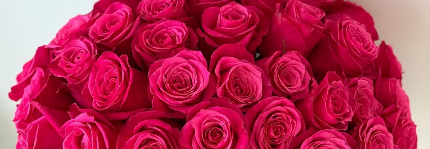 Flower Lab USA cover photo