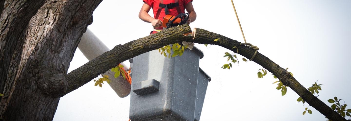The Gathering Place Tree Service cover photo