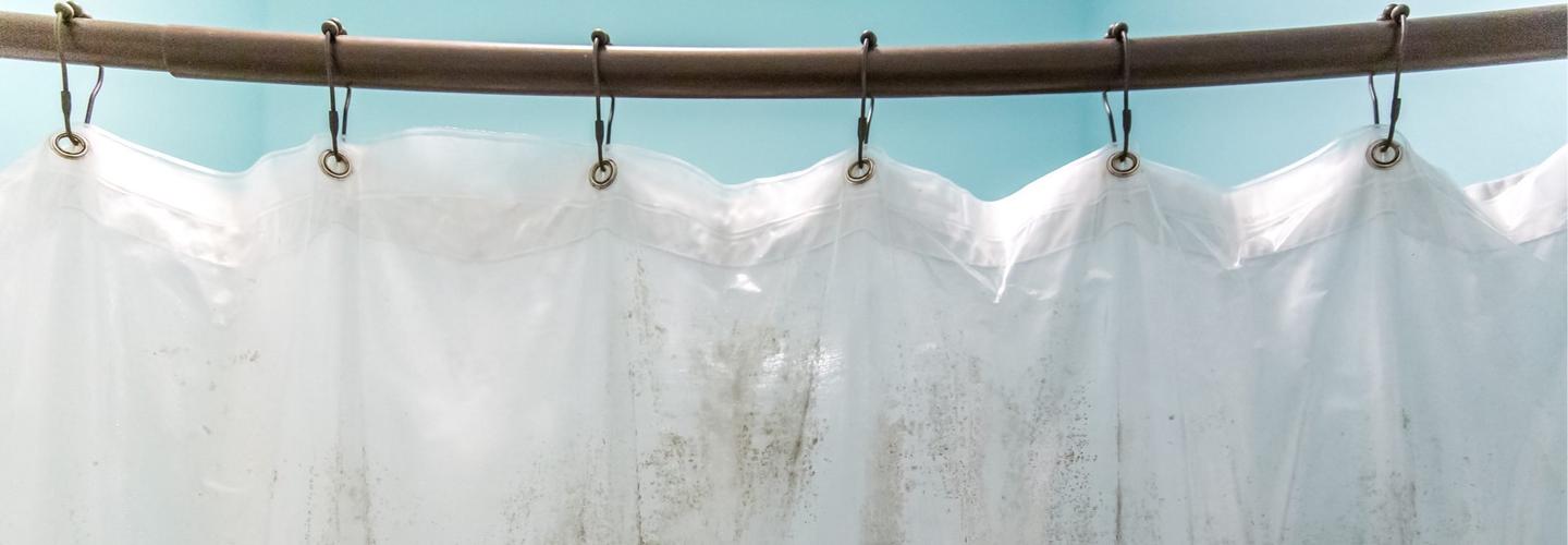 Curtain Cleaning Merritts Creek cover photo