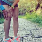 Hip and Knee Orthopaedics - photo 3