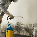 Waterworks Damage Restoration of Gold Coast - photo 3