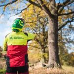 Waukesha Tree Removal - photo 1