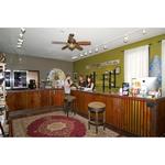 The Dispensary — Crested Butte - photo 1